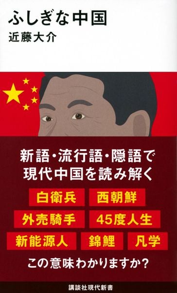 ふしぎな中国 (講談社現代新書)