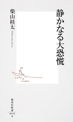 静かなる大恐慌 (集英社新書)