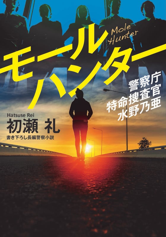 モールハンター 警察庁特命捜査官 水野乃亜 (双葉文庫)