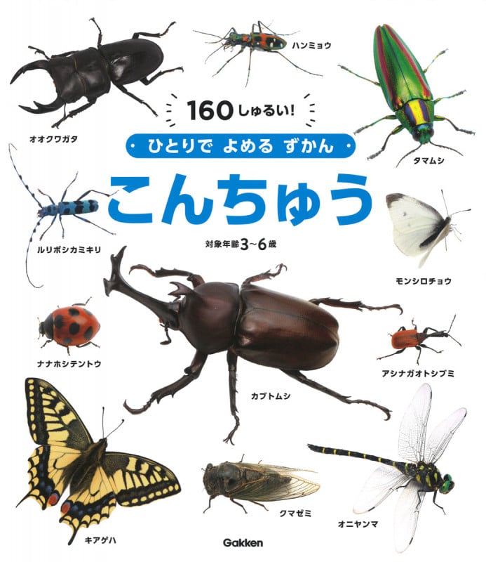 こんちゅう 160しゅるい! (ひとりでよめるずかん)