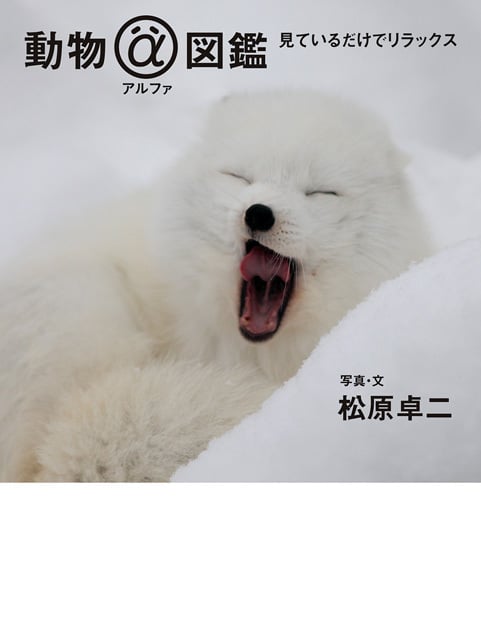 動物アルファ図鑑 見ているだけでリラックス