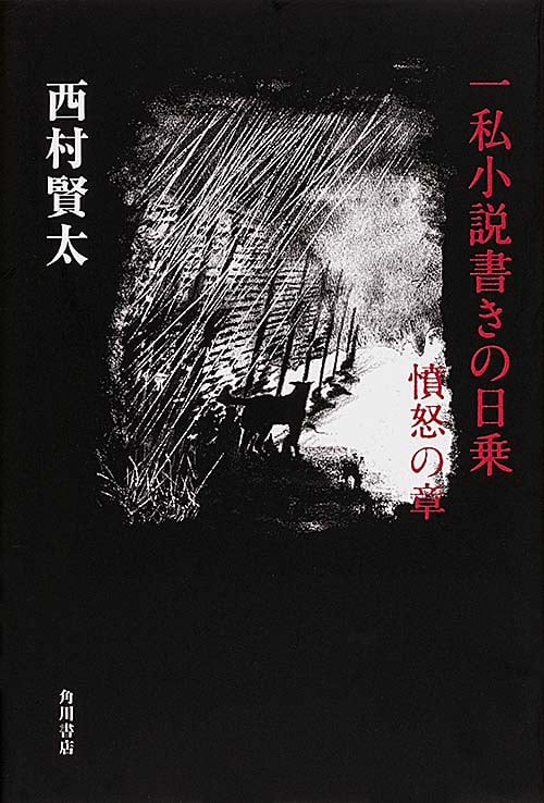 一私小説書きの日乗 憤怒の章  
