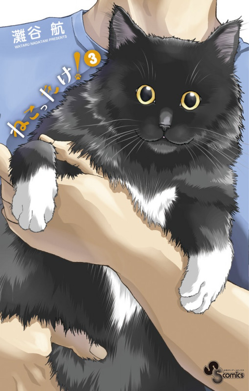 ねこったけ! (3) (少年サンデーコミックス)