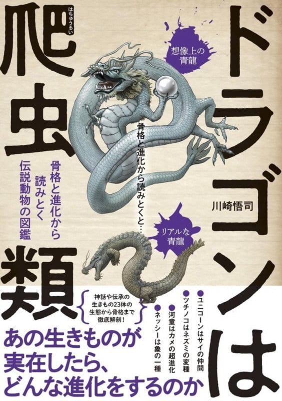 ドラゴンは爬虫類 骨格と進化から読みとく伝説動物の図鑑