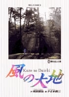 風の大地 (43) (ビッグ コミックス)