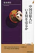 中国13億人にいま何を売るか (青春新書PLAY BOOKS)