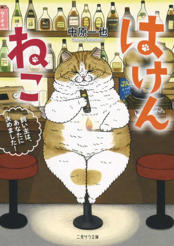 はけんねこ ~飼い主は、あなたに決めました!~ (二見サラ文庫)