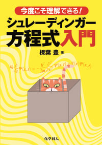 シュレーディンガー方程式入門 今度こそ理解できる!