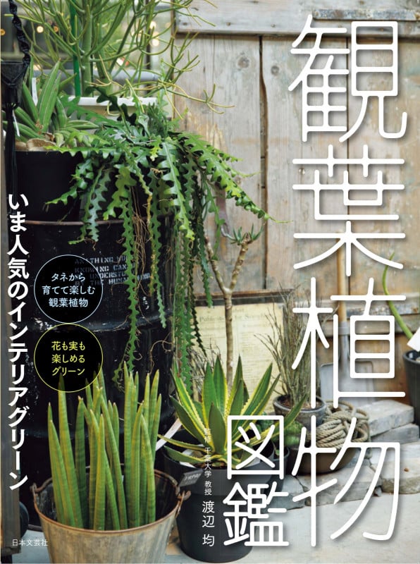 観葉植物図鑑 いま人気のインテリアグリーン
