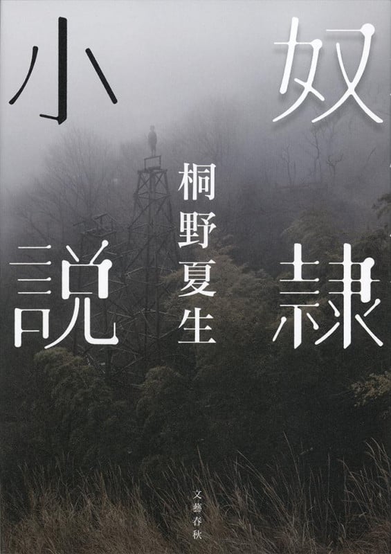 奴隷小説の詳細を見る