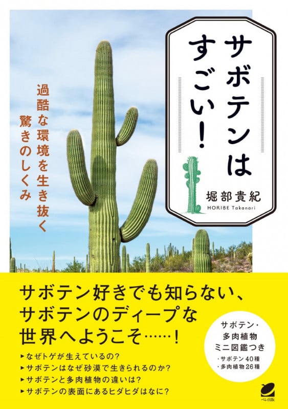 サボテンはすごい! 過酷な環境を生き抜く驚きのしくみ | 堀部貴紀の