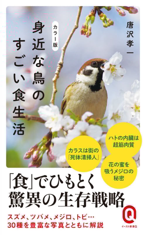 カラー版 身近な鳥のすごい食生活 (イースト新書Q)