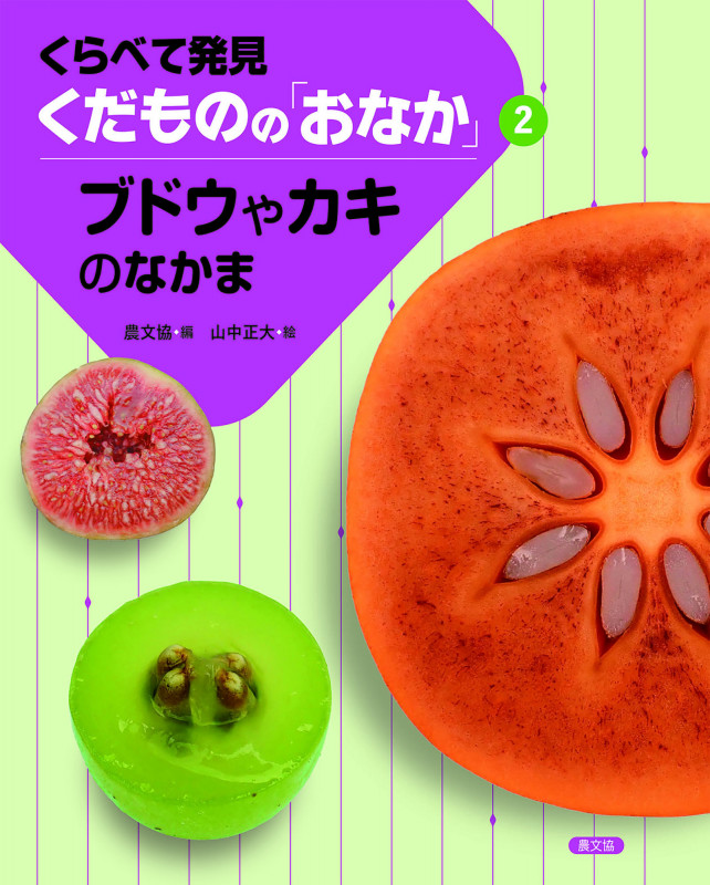 ブドウやカキのなかま (2) (くらべて発見 くだものの「おなか」 2)