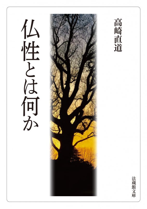 仏性とは何か (法蔵館文庫)