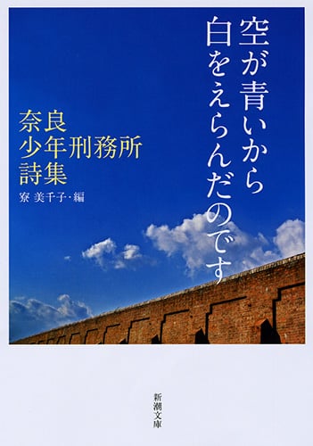 空が青いから白をえらんだのです 奈良少年刑務所詩集 (新潮文庫)