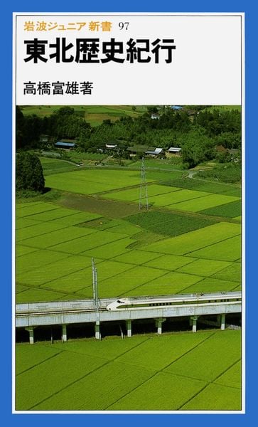東北歴史紀行 (岩波ジュニア新書)