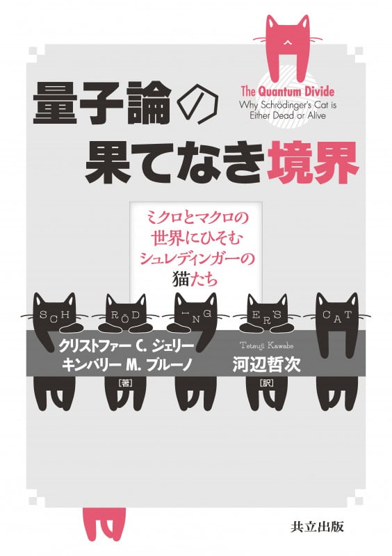 量子論の果てなき境界 ミクロとマクロの世界にひそむシュレディンガーの猫たち