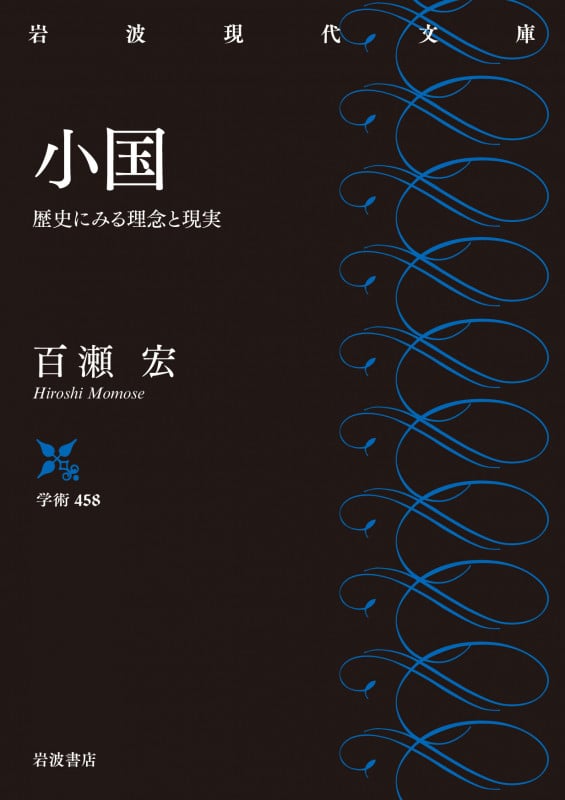 小国 歴史にみる理念と現実 (岩波現代文庫 学術458)
