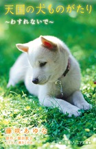 天国の犬ものがたり~わすれないで~ (小学館ジュニア文庫)