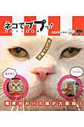 ネコでププッ! 面白ネコ画像集