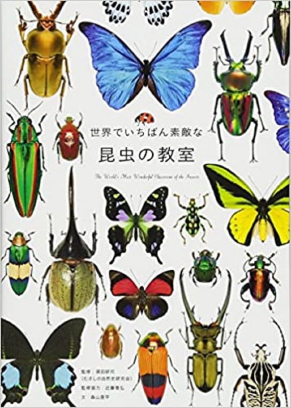 世界でいちばん素敵な昆虫の教室