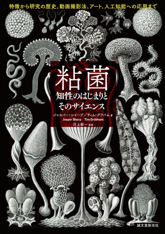 粘菌 知性のはじまりとそのサイエンス 特徴から研究の歴史、動画撮影法、アート、人工知能への応用までの詳細を見る