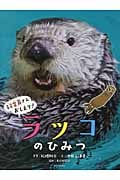 飼育員さんおしえて! ラッコのひみつ