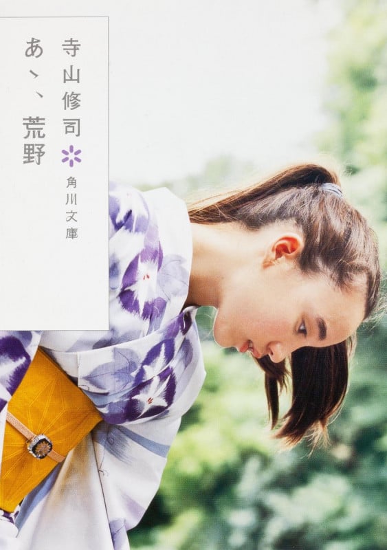 あゝ、荒野 (角川文庫)