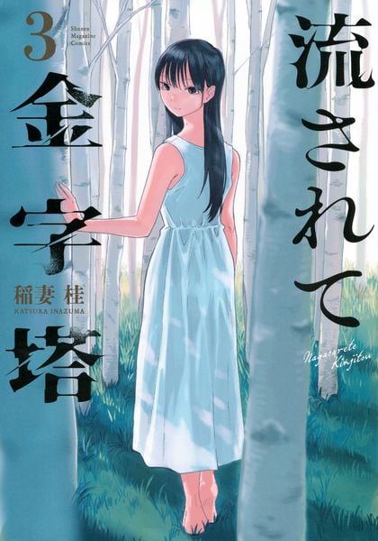 流されて金字塔(3) (KCデラックス)