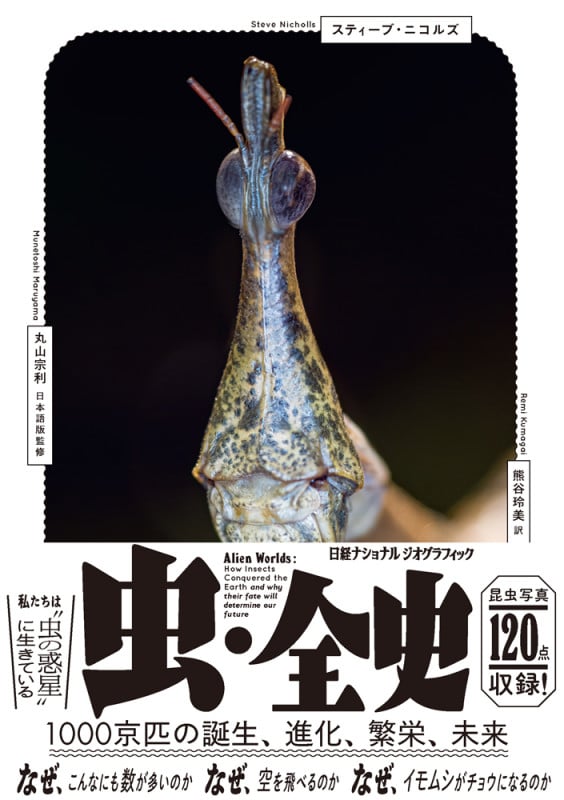 虫・全史 1000京匹の誕生、進化、繁栄、未来