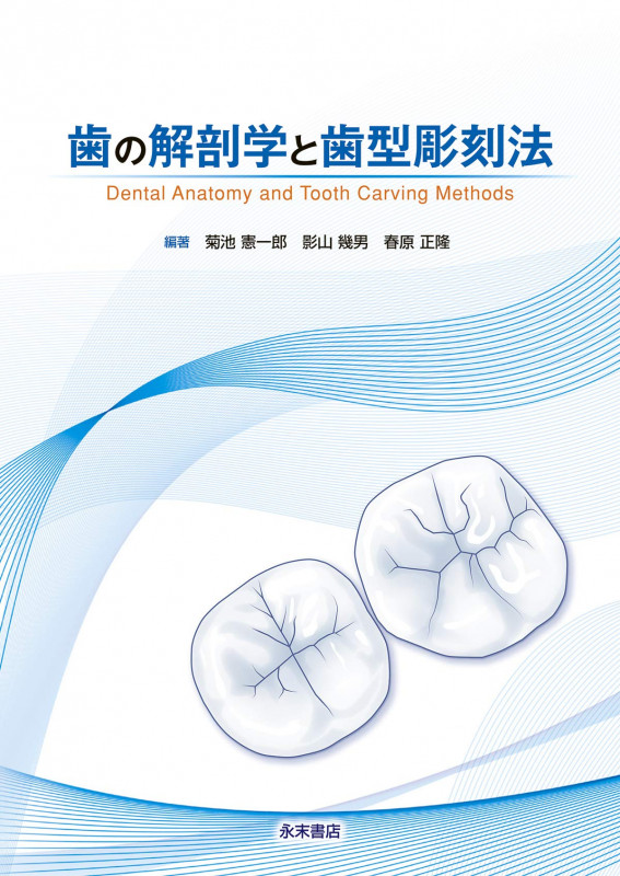 歯の解剖学と歯型彫刻法