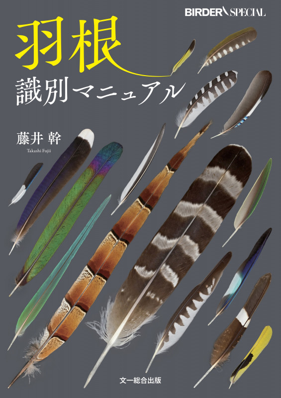 羽根識別マニュアル (BIRDER SPECIAL)