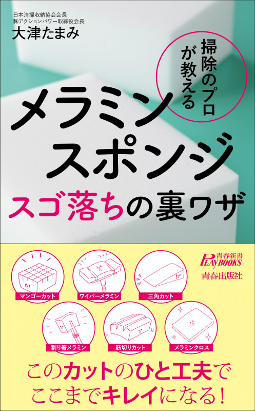 掃除のプロが教える メラミンスポンジ スゴ落ちの裏ワザ (青春新書プレイブックス)
