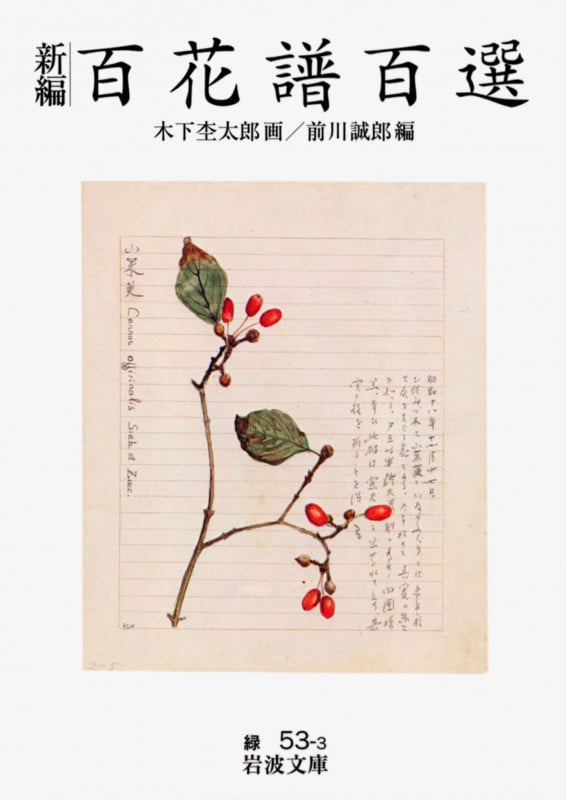 新編 百花譜百選 (岩波文庫)