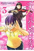 天にひびき (3) (ヤングキングC)