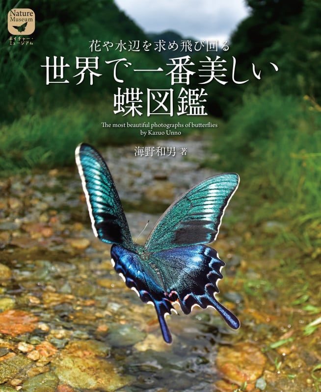 世界で一番美しい蝶図鑑 花や水辺を求め飛び回る (ネイチャー・ミュージアム)