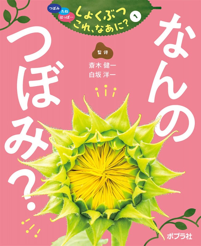 なんの つぼみ? (つぼみ・たね・はっぱ・・・ しょくぶつ これ、なあに? 1)