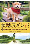幼獣マメシバ 上