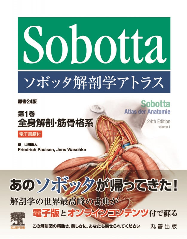 ソボッタ解剖学アトラス 原書24版 第3巻 頭頸部・神経系 電子