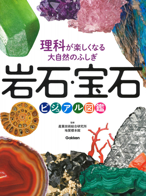 岩石・宝石 ビジュアル図鑑 理科が楽しくなる大自然のふしぎ