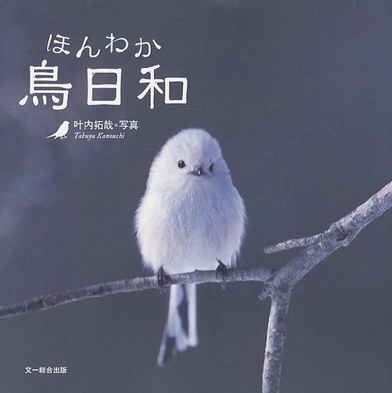 写真集 ほんわか鳥日和