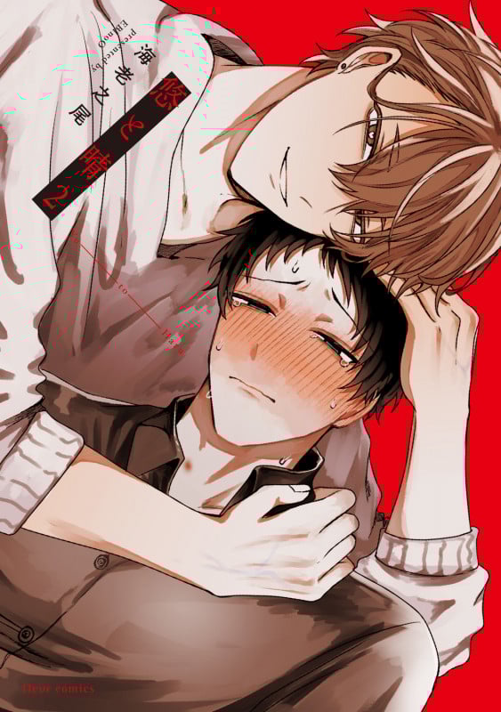 悠と晴 2 (フルールコミックス)