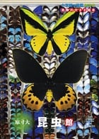 小学館の図鑑NEO 本物の大きさ絵本 原寸大昆虫館 (小学館の図鑑NEO)