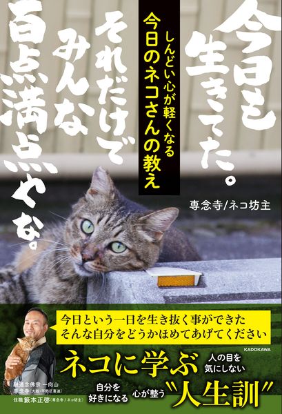 しんどい心が軽くなる 今日のネコさんの教え