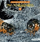 ファーブル昆虫記の虫たち (5)
