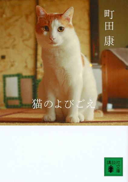 猫のよびごえ (講談社文庫)の詳細を見る