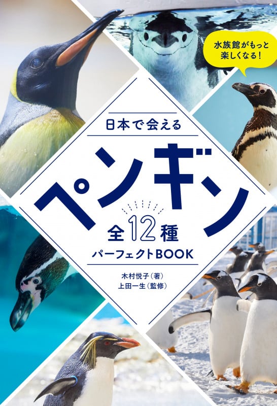 日本で会える ペンギン 全12種パーフェクトBOOK