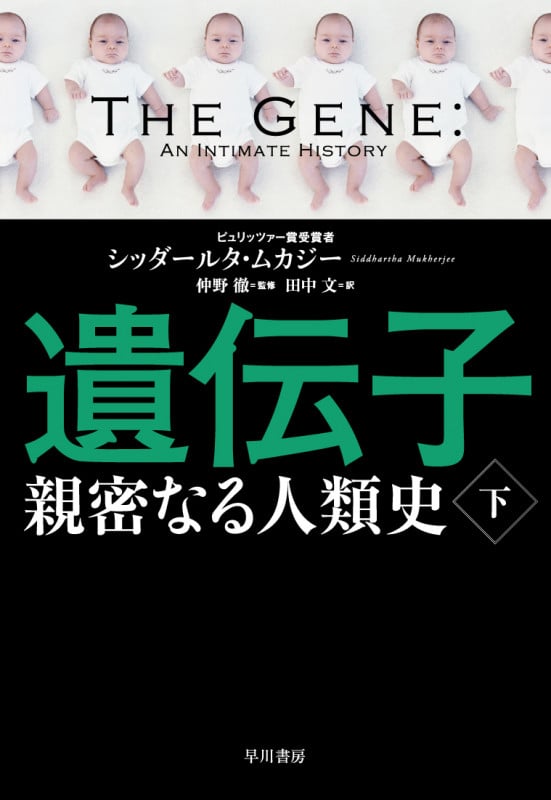 遺伝子 親密なる人類史 (下)