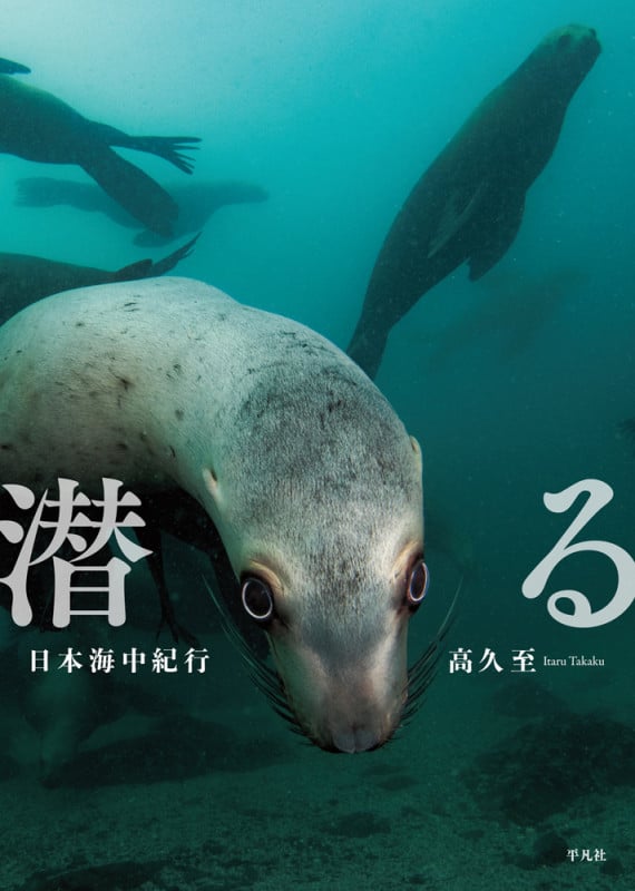潜る 日本海中紀行