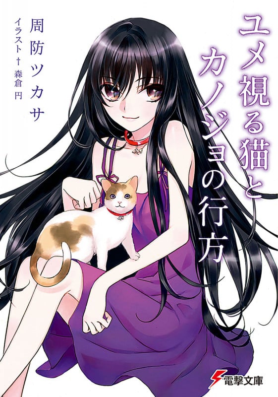 ユメ視る猫とカノジョの行方 (電撃文庫)